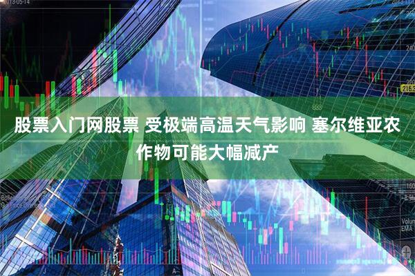股票入门网股票 受极端高温天气影响 塞尔维亚农作物可能大幅减产