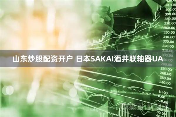 山东炒股配资开户 日本SAKAI酒井联轴器UA