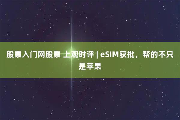 股票入门网股票 上观时评 | eSIM获批，帮的不只是苹果
