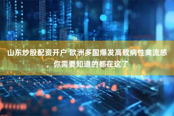 山东炒股配资开户 欧洲多国爆发高致病性禽流感，你需要知道的都在这了