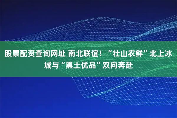 股票配资查询网址 南北联谊！“壮山农鲜”北上冰城与“黑土优品”双向奔赴