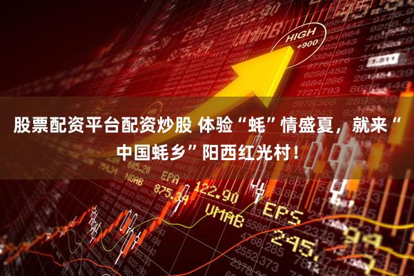 股票配资平台配资炒股 体验“蚝”情盛夏，就来“中国蚝乡”阳西红光村！